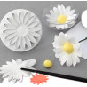 Daisy plunger cutter set of 3 (big)