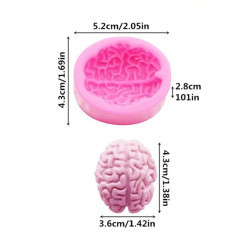 Human brain silicone mold