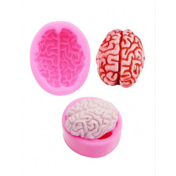Human brain silicone mold