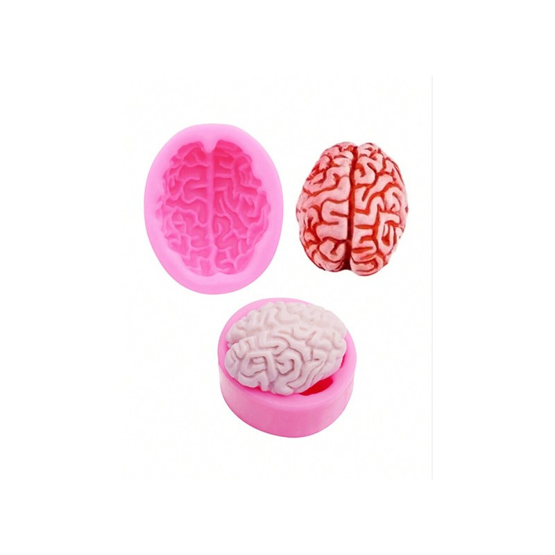 Human brain silicone mold