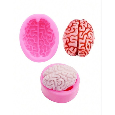 Human brain silicone mold