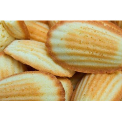 Madeleine baking pan 6 pieces