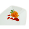 Sallow Thorn concentrate with alcohol
