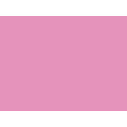 Wilton EU Icing Color - Pink - 28g