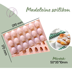 Madeleine silicone mold