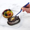Presentation Tweezers - Medium (165mm / 6")