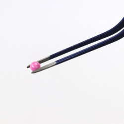 Presentation Tweezers - Large (235mm / 9")