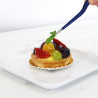 Presentation Tweezers - Large (235mm / 9")
