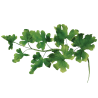 JEM Foliage Cutters - Mixed Leaves Set 2 Set of 7