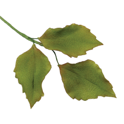 JEM Foliage Cutters - Mixed Leaves Set 2 Set of 7