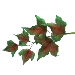 JEM Foliage Cutters - Mixed Leaves Set 2 Set of 7