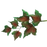JEM Foliage Cutters - Mixed Leaves Set 2 Set of 7