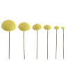 JEM Floral Cutters - Daisy Centre Stamps Set of 6