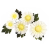 JEM Floral Cutters - Daisy Centre Stamps Set of 6