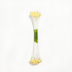 PME Plain Stamen Medium - Ivory