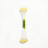 PME Plain Stamen Medium - Ivory