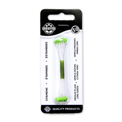 PME Plain Stamen Medium - Lime Green