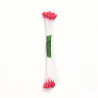 PME Plain Stamen Medium - Pink