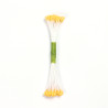 PME Plain Stamen Medium - Peach