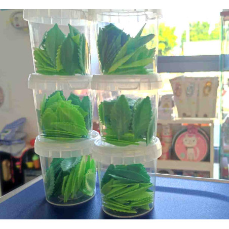 Leman wafer paper leaves (light +dark green) 40 pcs