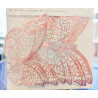 Butterfly sett- silver-rosegold