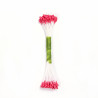 Pearl Stamen Medium - Pink