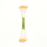 Pearl Stamen Medium - Peach