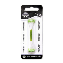 Pearl Stamen Medium - Lime...