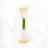 Pearl Stamen Medium - Ivory
