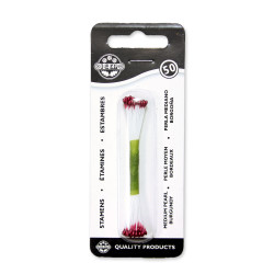 Pearl Stamen Medium - Burgundy