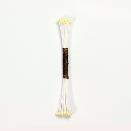 Pearl Stamen Fine - Ivory
