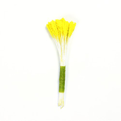 Lilly Stamen - Yellow