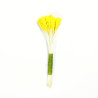Lilly Stamen - Yellow