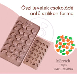 Autumn leaf chocolate...