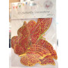Butterfly sett- gold-red