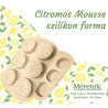Citrom mousse szilikon forma