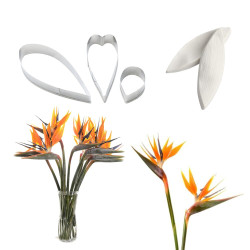 Strelitzia Paradise Bird...
