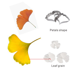 Ginkgo Biloba cutters and veiners set of 5
