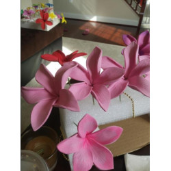 Plumeria and Chaenomeles japonica cutters and veiners set of 11