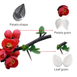Plumeria and Chaenomeles japonica cutters and veiners set of 11