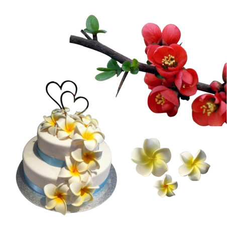Plumeria and Chaenomeles japonica cutters and veiners set of 11