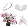 Lilly Cutter & Veiner set of 6