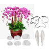 Orchidea kiszúró és erező szett