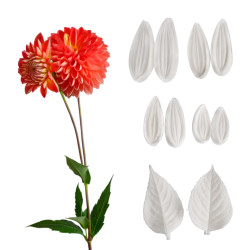 Dahlia veiners set of 5