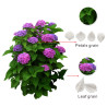 Hydrangea veiner set of 3