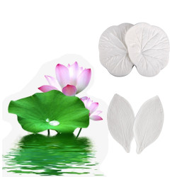 Lotus veiner set of 2
