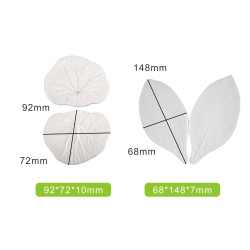 Lotus veiner set of 2