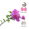 Hibiscus leaf and petal veiners set of 2