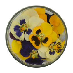 Edible Pansies 15 pieces