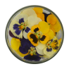 Edible Pansies 15 pieces